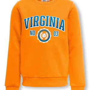 Kogcali Ls State O-neck - Oranje