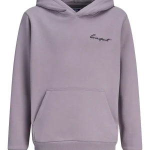 Jcodust Script Sweat Hood Sa26 Jnr - Mauve
