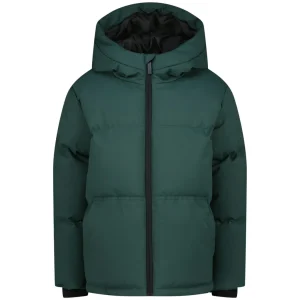 R225kb100013 Tiro - Groen