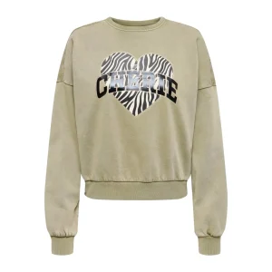 Onllauren Life L/s Animal O-neck Cc Swt - Olijf