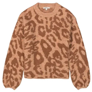 Trui Aop - Bruin Dessin