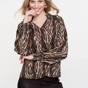 Top Animal - Bruin Dessin