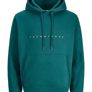 Jjestar Jj Sweat Hood - Esmerald