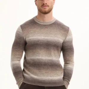 615773 - Bruin Dessin