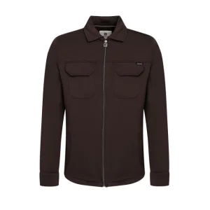 425746 - Bruin Dessin