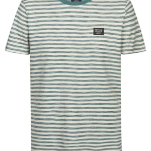 Men T-shirt Ss - Groen Dessin