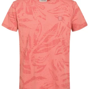 155911 - Roze Dessin