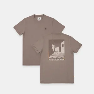 1565111 Bara - Bruin