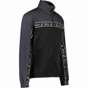 Australian Duo Jack Zwarte Borstbies Donker Grijs